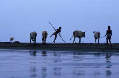 Landwirtschaft in Indonesien Landwirtschaft in Indonesien