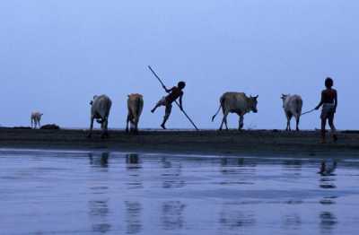 Landwirtschaft in Indonesien