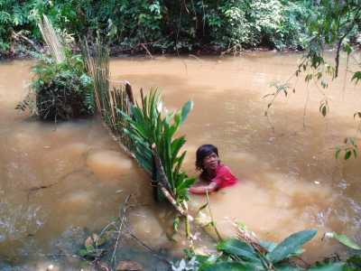 Orang Rimba Fischfang Orang Rimba Fischfang