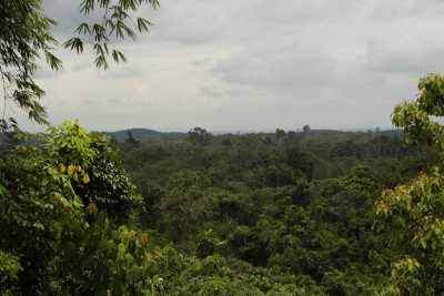 Bukit Duabelas Nationalpark)