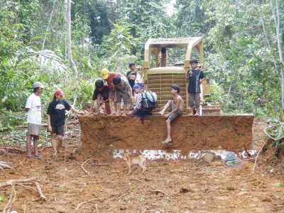 Illegale Holzfälller wurden vertrieben