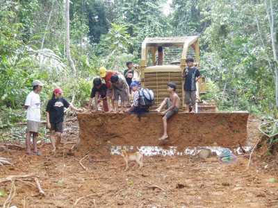 Illegale Holzfälller wurden vertrieben Illegale Holzfälller wurden vertrieben